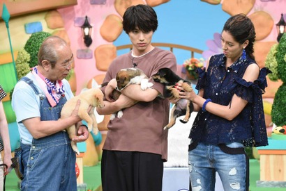 福士蒼汰、自らが触れあった保護犬の譲渡会へ「天才!志村どうぶつ園」 画像