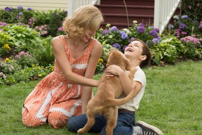 「もう一度会いたい…」けなげな愛犬に感涙！『僕のワンダフル・ライフ』予告編 画像