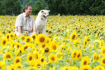泣ける！　31万部突破の漫画「星守る犬」が西田敏行主演で映画化 画像