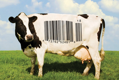 観たら食生活が変わる!?　オスカー候補作『フード・インク』予告編を初公開 画像