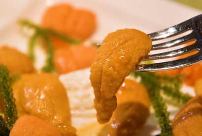 住所非公開&完全予約制！ 専門店で味わう絶品ウニに舌鼓 画像