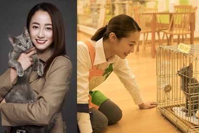 沢尻エリカ、6年ぶりの主演作は“猫映画”！ 犬童一心監督と初タッグ『猫は抱くもの』 画像