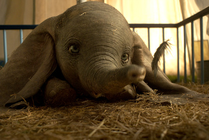 ティム・バートンが空を飛ぶ？ コリン・ファレルもニコニコ笑顔『ダンボ』NG集 画像