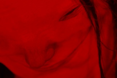 デル・トロ印のクリーチャー降臨『スケアリーストーリーズ 怖い本』 画像