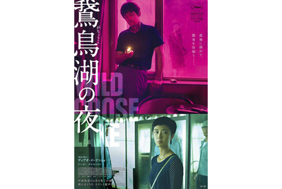 闇と色彩が渦巻く鮮烈なビジュアル『鵞鳥湖の夜』5月公開 画像