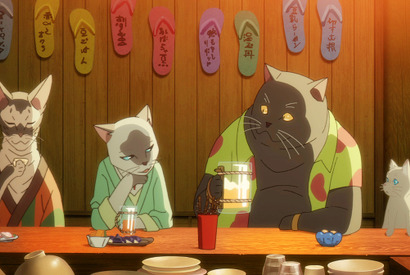 猫だけの秘密の世界“猫島”へ…『泣きたい私は猫をかぶる』特別映像 画像