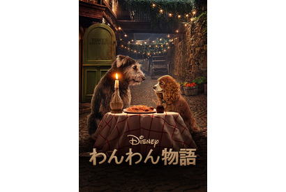 『わんわん物語』実写版からマーベルドラマまで！Disney+ (ディズニープラス)オリジナル作品の強力ラインナップに迫る 画像