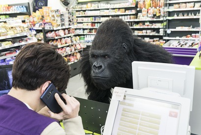 深夜のコンビニにゴリラ参上!?『シークレット・ジョブ』本編映像 画像