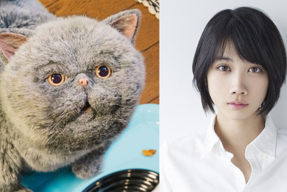 松本穂香、新猫“マリン”の声を担当「おじさまと猫」 画像