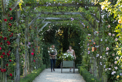 美しいバラが大集合！『ローズメイカー』冒頭映像 画像