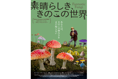 森に広がる驚異と神秘！めくるめくきのこの世界とらえた『素晴らしき、きのこの世界』予告編 画像