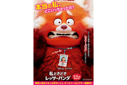 突然もふもふに変身!? ディズニー＆ピクサー最新作『私ときどきレッサーパンダ』3月公開＆特報映像も 画像