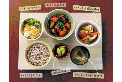 向井理＆宮崎あおいが生み出す夫婦の味　映画『きいろいゾウ』×大戸屋がコラボ！ 画像