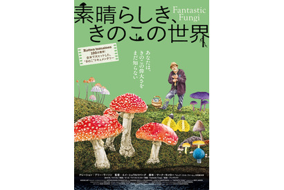 “きのこ”の驚異に迫るドキュメンタリー『素晴らしき、きのこの世界』Blu-ray＆DVD3月25日発売 画像