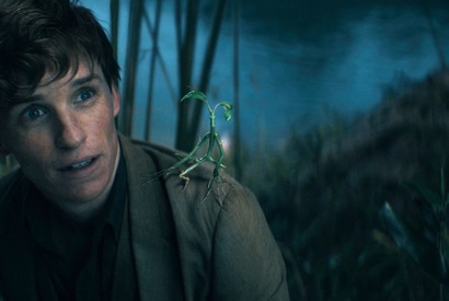 『ファンタビ』最新作、ニフラーたち魔法動物と最高の魔法の新映像解禁！IMAX＆4D上映も決定 画像