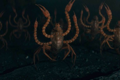 エディ・レッドメインが物語の鍵を握る魔法動物たちを解説『ファンタビ』最新作特別映像 画像