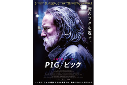 ニコラス・ケイジ、愛するブタの行方を追う孤独な男に！映画『PIG／ピッグ』劇場公開決定 画像