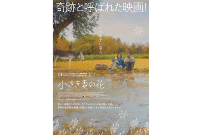 貧しい農民夫婦の慎ましい愛と押し寄せる時代の波…『小さき麦の花』ポスター＆予告編 画像