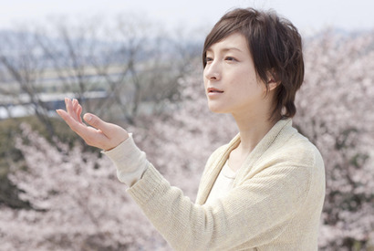 映画でお花見？　スクリーンに咲く“桜映画”がこの春、続々開花！ 画像