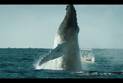 「ゲーム・オブ・スローンズ」製作者が“深海”を選んだ意味とは？「THE SWARM」インタビュー 画像