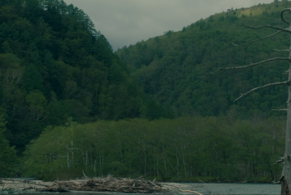 King Gnu井口理も登場…坂口健太郎主演『サイド バイ サイド 隣にいる人』ロング版予告 画像