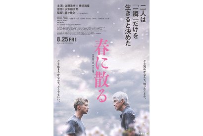 佐藤浩市×横浜流星、ファイティングポーズで向き合う『春に散る』特報 公開は8月25日に 画像