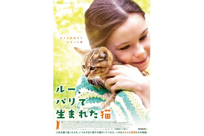 少女の目を通して愛猫との絆を描く『ルー、パリで生まれた猫』9月公開 画像