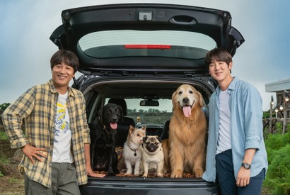 ユ・ヨンソク＆チャ・テヒョン共演、愛犬の里親探しに『マイ・ハート・パピー』1月公開 画像