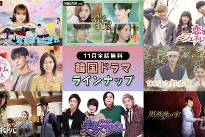 チャウヌ「私のIDはカンナム美人」＆D.O.「100日の郎君様」ほか全話無料配信　11月のABEMA 画像