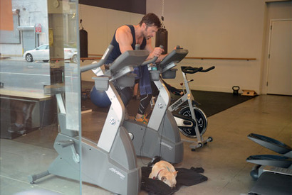 ジムでストーカー被害のヒュー・ジャックマン、ボディガード代わりの愛犬を同伴 画像