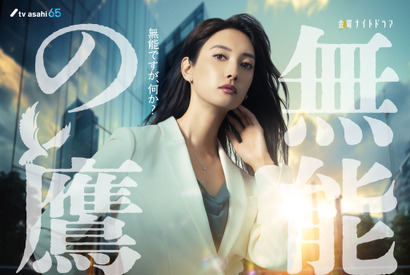 菜々緒主演、超脱力系お仕事コメディ「無能の鷹」秋スタート 画像