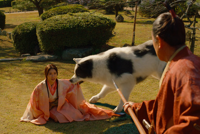 内野聖陽＆磯村勇斗＆土屋太鳳らの姿も『八犬伝』迫力溢れる場面写真 画像