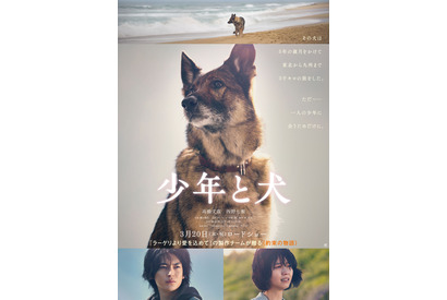 大切な人のもとへ… 高橋文哉＆西野七瀬W主演『少年と犬』特報 公開日は3月20日に 画像