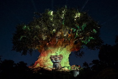 【海外ディズニー】アニマルキングダムのナイトショーが『ライオン・キング：ムファサ』バージョンに！フロリダ WDW 画像