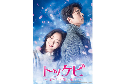 「トッケビ」「キム・サブ」「ミセン」ほか、春休み一気見したい人気韓国ドラマ8選 画像