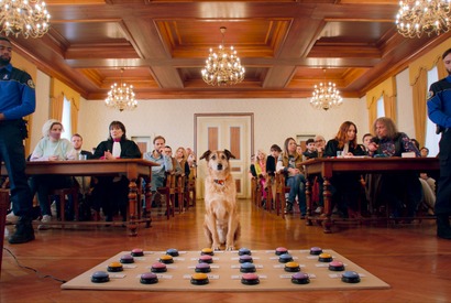 ボタンを使って“被告犬”が証言？『犬の裁判』本編映像 画像