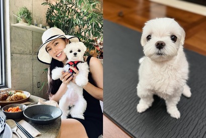 『愛の不時着』ソン・イェジン、愛犬とのささやかな日常に“ほっこり”。「おやつも食べたのに…」【PHOTO】 画像
