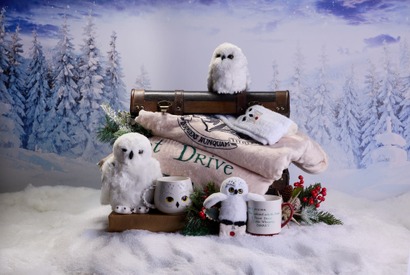 ホグワーツ・イン・ザ・スノー開催＆もふもふアイテム登場「ワーナー ブラザース スタジオツアー東京 - メイキング・オブ・ ハリー・ポッター」 画像