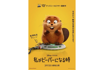 ディズニー＆ピクサー『私がビーバーになる時』日本公開は3月13日！　動物界の大騒動に巻き込まれる最新US版予告解禁 画像
