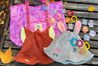 『ズートピア２』サウナグッズがヴィレヴァンオンラインに登場 画像