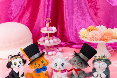 ディズニー猫キャラ大集合！Happyくじ「Disney にゃん・にゃん・にゃん」　明日発売　全8等級 画像