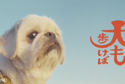 フォロワー18万人超えの人気犬が前野朋哉と共演、短編映画『犬も歩けば』YouTubeにて公開 画像
