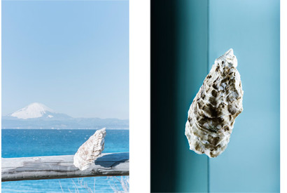 目で見て、食べて味わう写真展「カキ展」、葉山LA MAREE DE CHAYAにて開催 画像