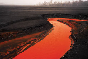 映画業界初！　あなたの撮った写真が映画公式サイトのトップを飾る！ 画像