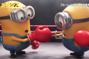 【特別映像】『ミニオンズ』、ライバルのボクシング対決の行方は!? 画像