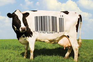 『フード・インク』宣伝会社社長が映画公開に合わせて食で肉体改造を実践！ 画像