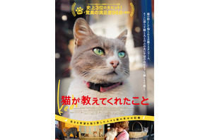 猫と人々の幸せな関係…ドキュメンタリー『猫が教えてくれたこと』公開決定 画像