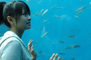 必見のお正月映画はこれ！ vol.3　『僕は妹に恋をする』に完敗！ 画像