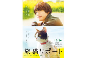 高畑充希、福士蒼汰の相棒“猫”に！ 『旅猫リポート』特報公開 画像