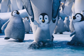 鈴木福くん、懸命に映画をPR！　キュートな『ハッピー フィート2』予告編が到着 画像